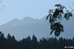 撮って出し(2025-07-08_05-11)-(Canon EOS 60D-1