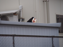 撮って出し(2025-03-22_15-03)-(E-M5-150(OLYMPU