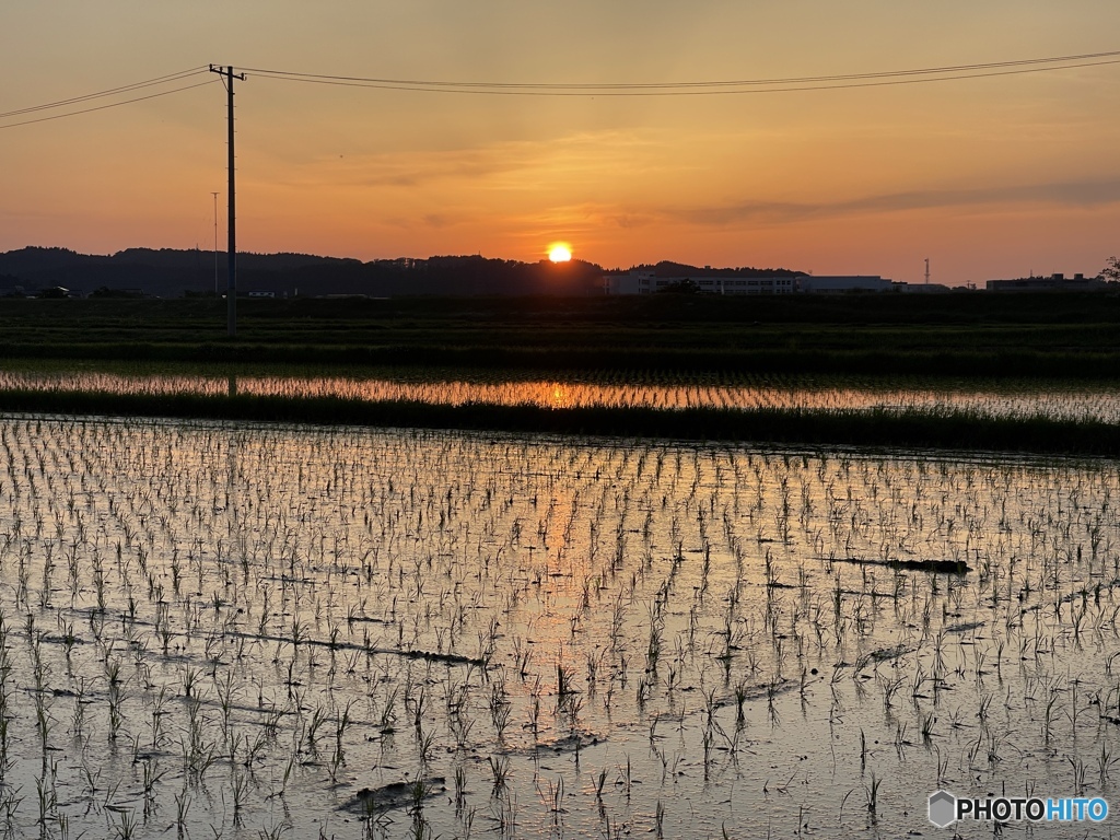 撮って出し(2024-05-23_18-41)-(iPhone 12 Pro M