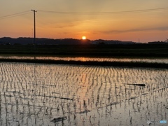 撮って出し(2024-05-23_18-41)-(iPhone 12 Pro M