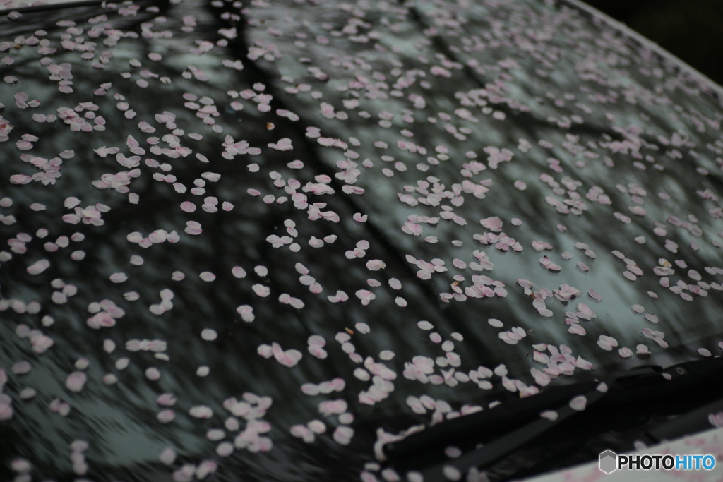 撮って出し(2024-04-17_16-32)-(Canon EOS 6D-90