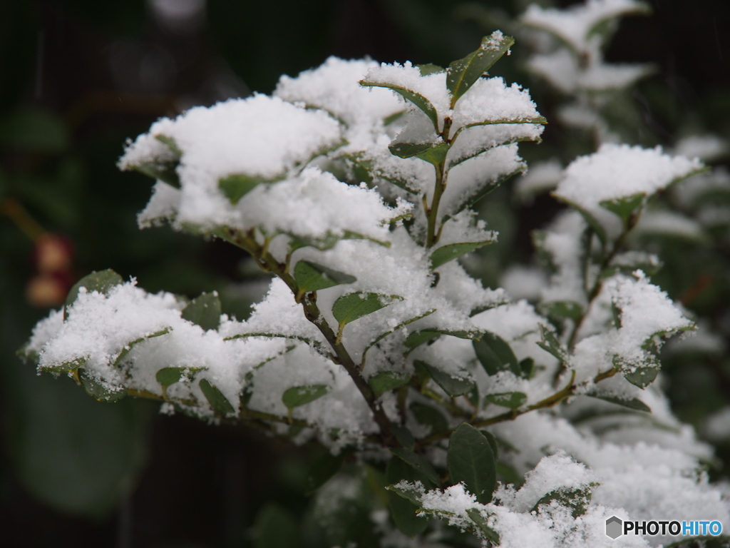 撮って出し-E-M5-150.0-41_01_30-0