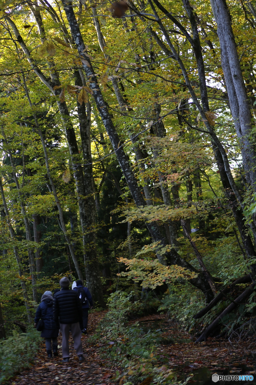 撮って出し(2025-10-27_06-43)-(Canon EOS 6D-90