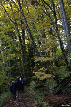 撮って出し(2025-10-27_06-43)-(Canon EOS 6D-90