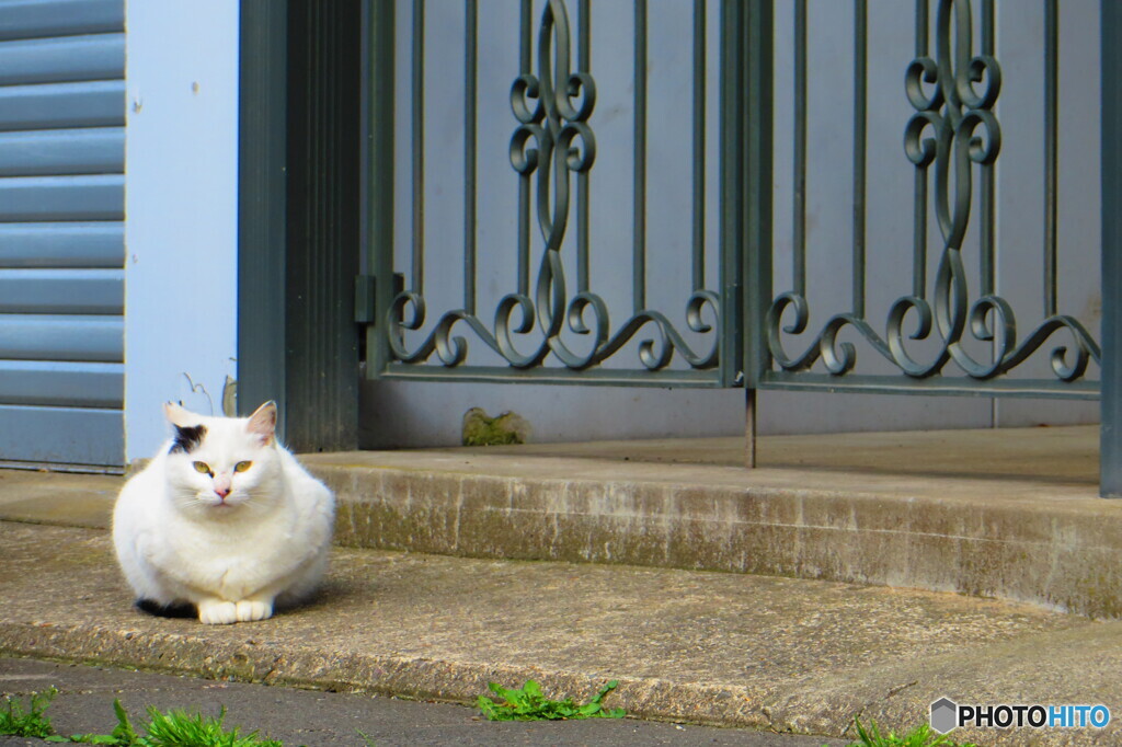 撮って出し-Canon PowerShot SX280 HS-36.3-41_0