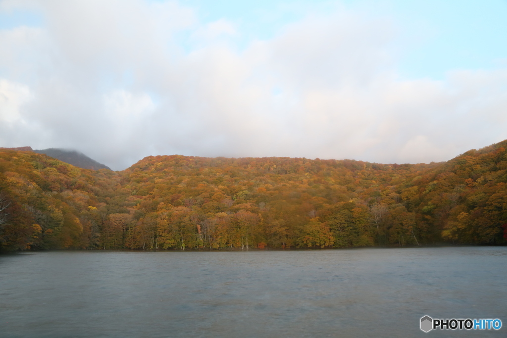 撮って出し(2025-10-27_05-39)-(Canon EOS 6D-28