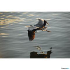 撮って出し(2023-07-06_03-12)--250