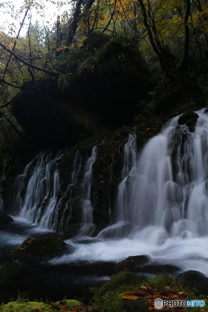 撮って出し(2025-11-04_07-06)-(Canon EOS 6D-28