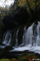 撮って出し(2025-11-04_07-06)-(Canon EOS 6D-28