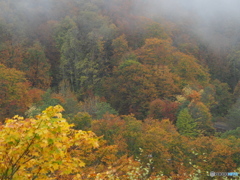 撮って出し(2025-10-26_14-02)-(E-M5-52(OLYMPUS