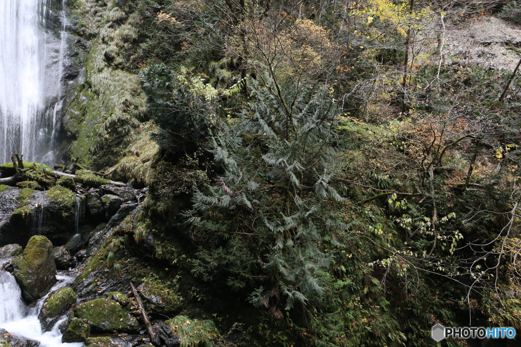 撮って出し(2025-11-07_13-08)-(Canon EOS 6D-24