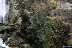 撮って出し(2025-11-07_13-08)-(Canon EOS 6D-24