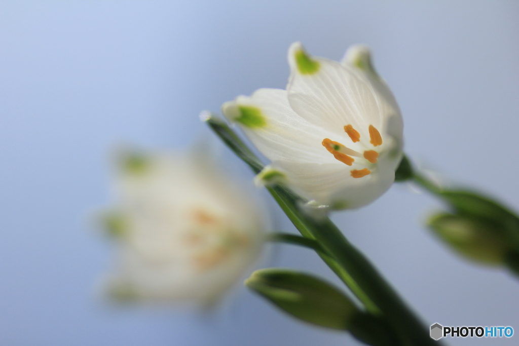 撮って出し(2025-04-25_09-33)-(Canon EOS 60D-9