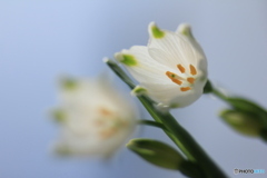 撮って出し(2025-04-25_09-33)-(Canon EOS 60D-9