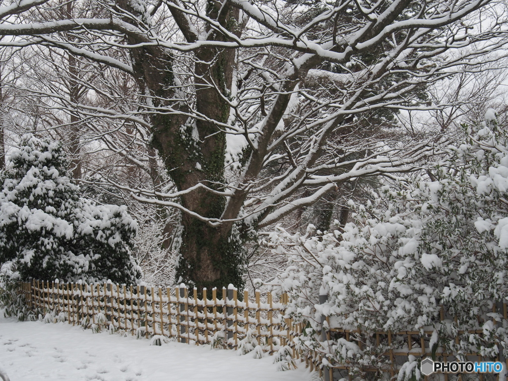 撮って出し(2024-02-22_07-56)-(E-M5-36(OLYMPUS