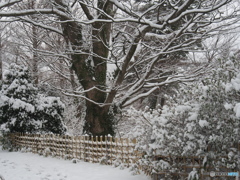 撮って出し(2024-02-22_07-56)-(E-M5-36(OLYMPUS