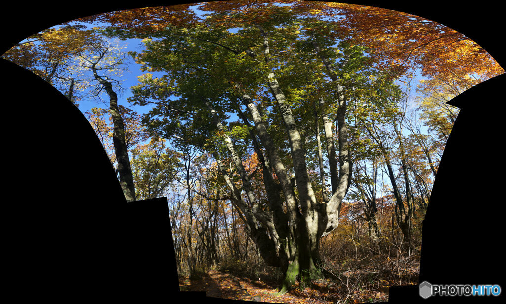 パノラマ合成　Affinity_IMG_7913-IMG_7923