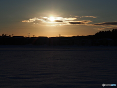 撮って出し(2025-01-19_16-14)-(E-M5-45(OLYMPUS