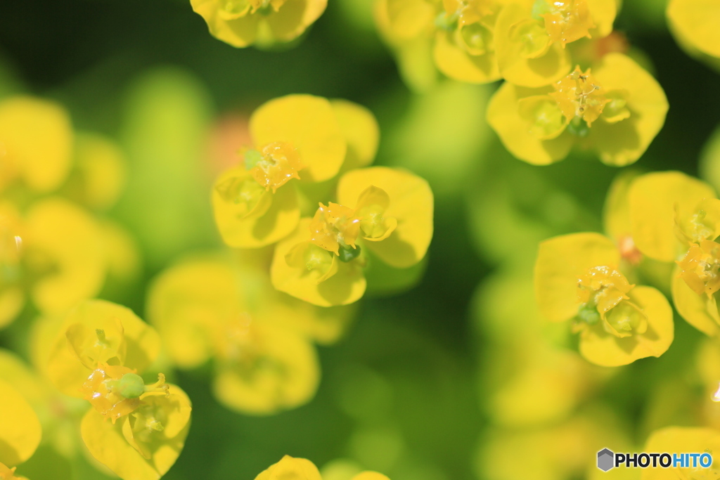 撮って出し-Canon EOS 60D-90.0-23_05_17-4