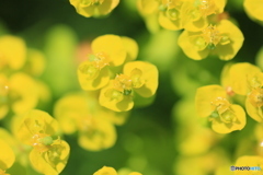 撮って出し-Canon EOS 60D-90.0-23_05_17-4