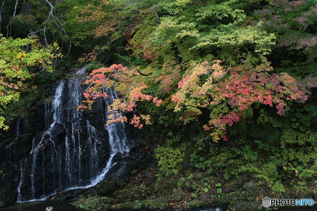 撮って出し(2025-10-27_11-56)-(Canon EOS 6D-56