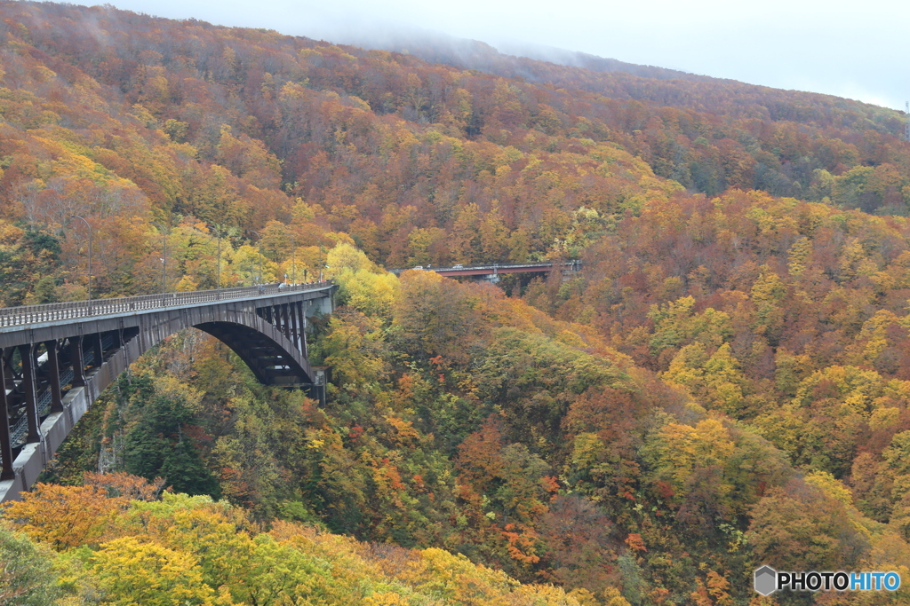 撮って出し(2025-10-27_10-53)-(Canon EOS 6D-75