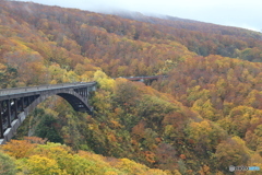 撮って出し(2025-10-27_10-53)-(Canon EOS 6D-75