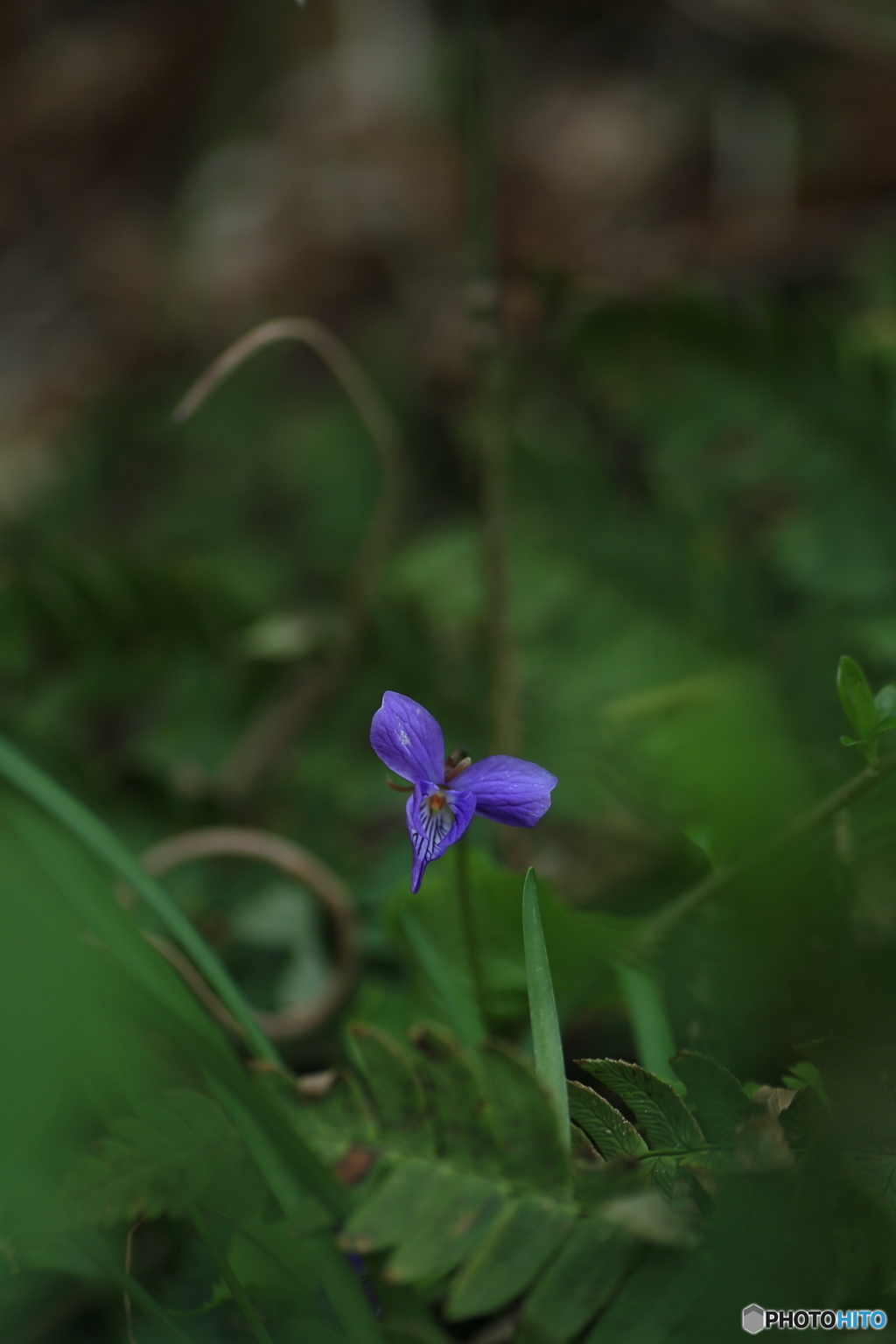 撮って出し(2024-04-12_14-48)-(Canon EOS 6D-90