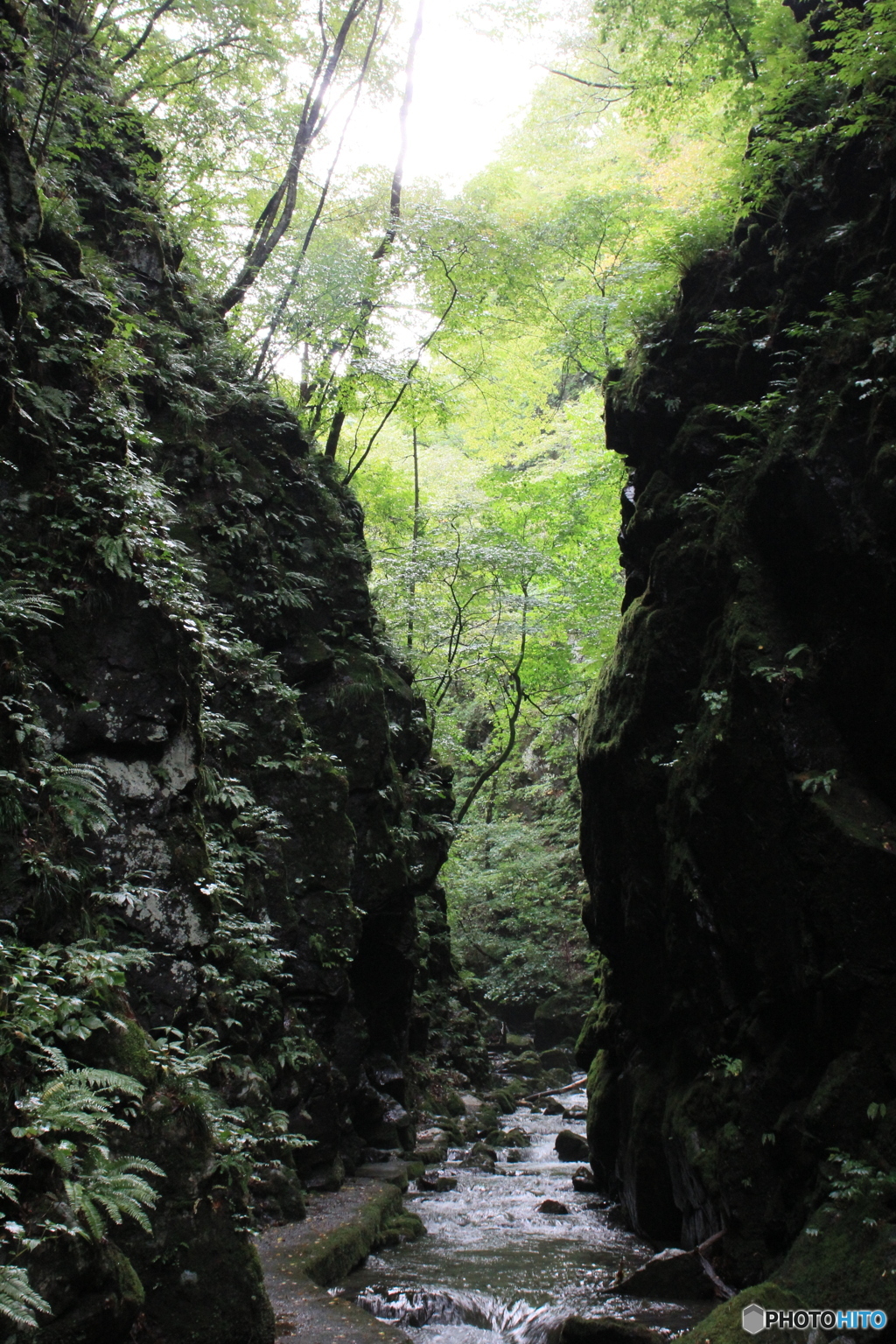 撮って出し-Canon EOS 60D-26.0-22_09_04-0
