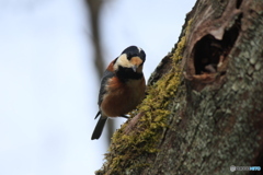 撮って出し(2025-03-03_12-59)-(Canon EOS 60D-2