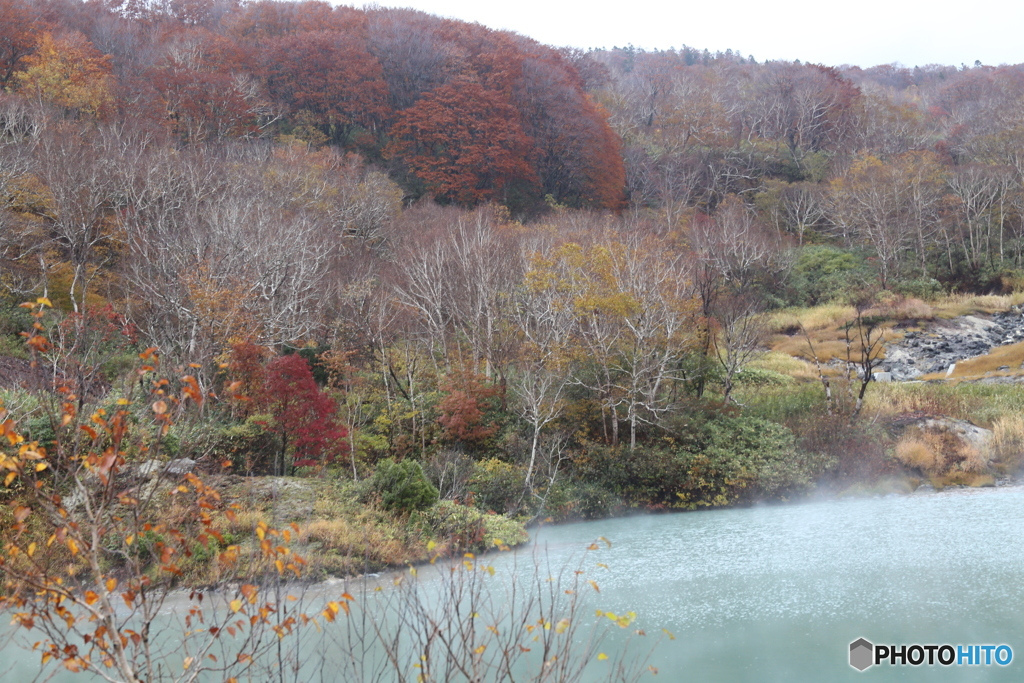 撮って出し(2025-10-27_10-33)-(Canon EOS 6D-60