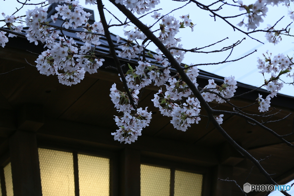 撮って出し-Canon EOS 6D-135.0-41_04_11-0