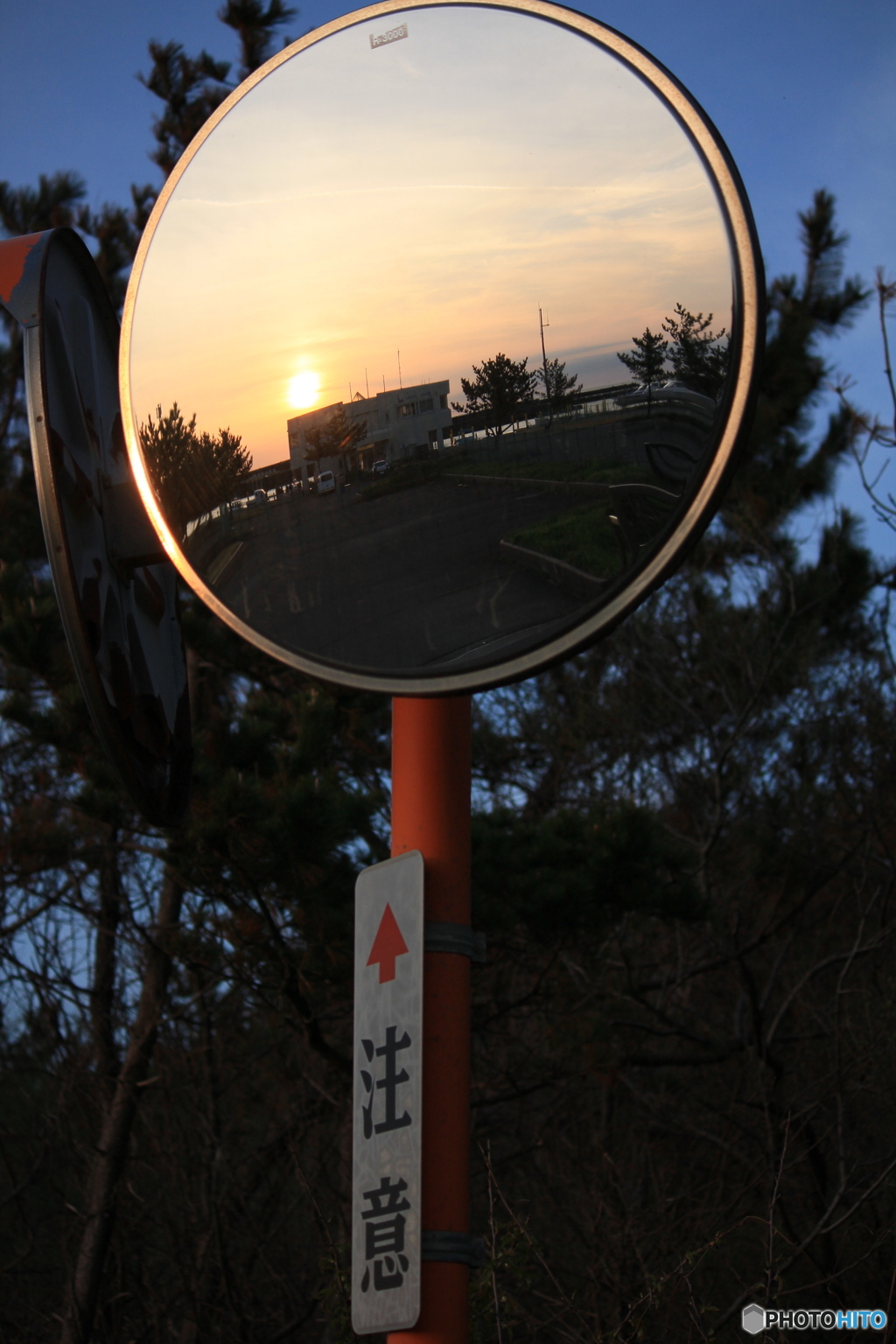 撮って出し(2024-04-23_18-04)-(Canon EOS 60D-5