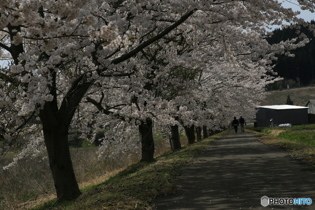 撮って出し-Canon EOS 6D-90.0-41_04_11-44