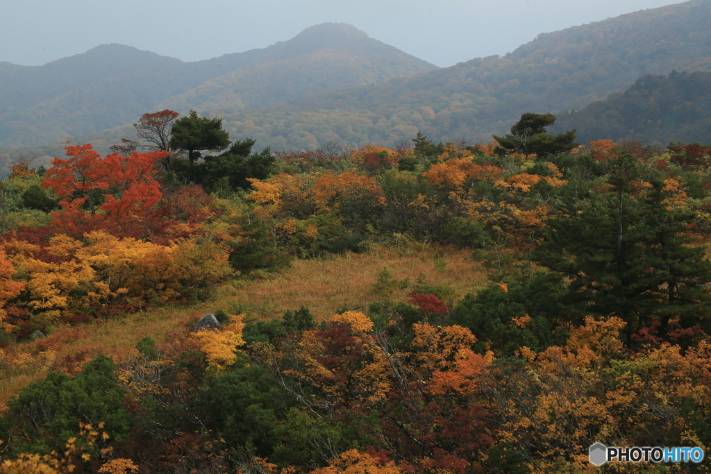 撮って出し-Canon EOS 6D-109.0-23_10_16_IMG_65