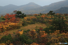 撮って出し-Canon EOS 6D-109.0-23_10_16_IMG_65