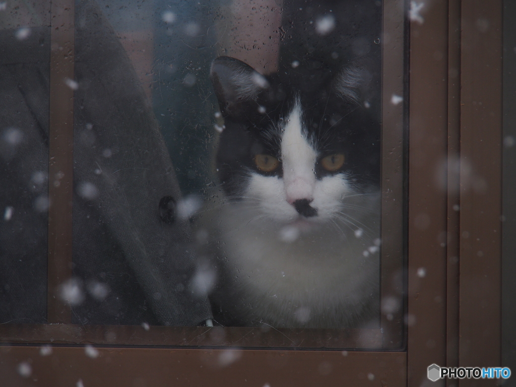 撮って出し(2025-01-17_10-54)-(E-M5-135(OLYMPU