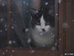 撮って出し(2025-01-17_10-54)-(E-M5-135(OLYMPU