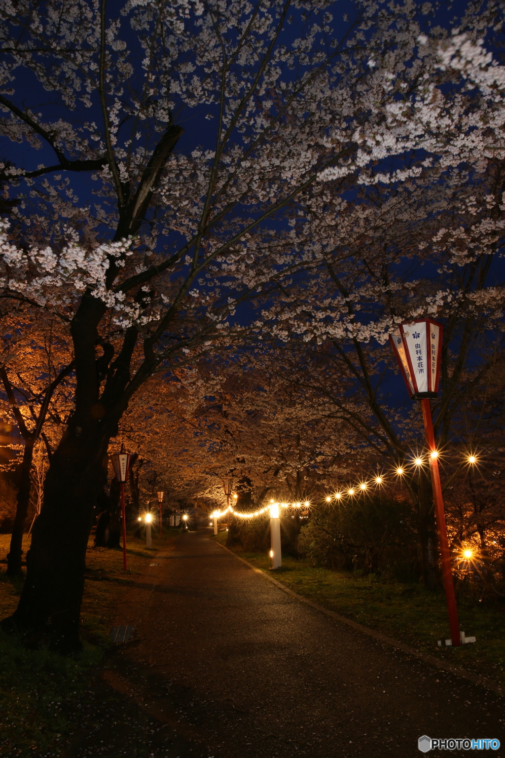 撮って出し(2025-04-18_18-43)-(Canon EOS 6D-0(