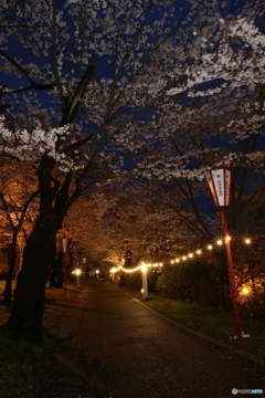 撮って出し(2025-04-18_18-43)-(Canon EOS 6D-0(