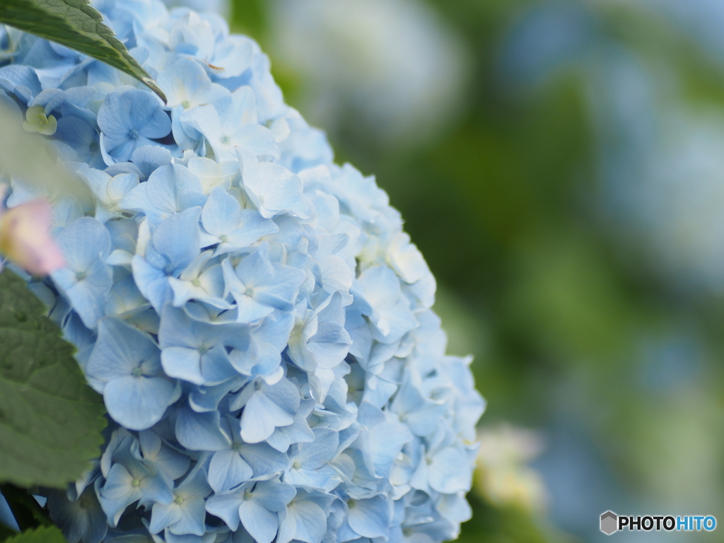 撮って出し-E-M5-0.0-23_06_23-7