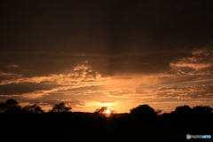 撮って出し(2025-09-13_17-42)-(Canon EOS 60D-3 撮って出し(2025-09-13_17-42)-(Canon EOS 60D-3