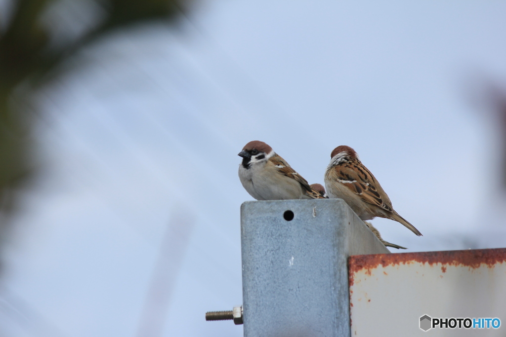 撮って出し(2025-02-25_12-02)-(Canon EOS 60D-2