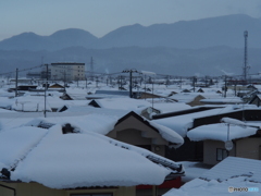 撮って出し(2024-12-19_08-00)-(E-M5-70(OLYMPUS