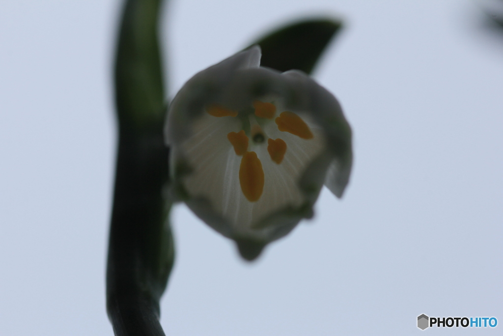 撮って出し(2025-04-24_16-09)-(Canon EOS 60D-9