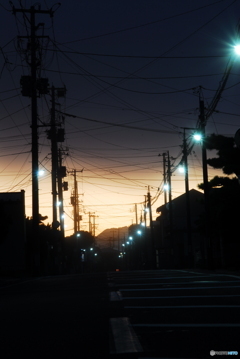 撮って出し(2024-08-16_04-55)-(NIKON D200-92()