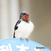 撮って出し(2025-04-18_09-34)-(Canon EOS 60D-2