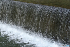 撮って出し-Canon EOS 6D-109.0-41_04_25-0