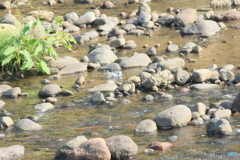撮って出し(2025-07-07_16-07)-(Canon EOS 60D-3