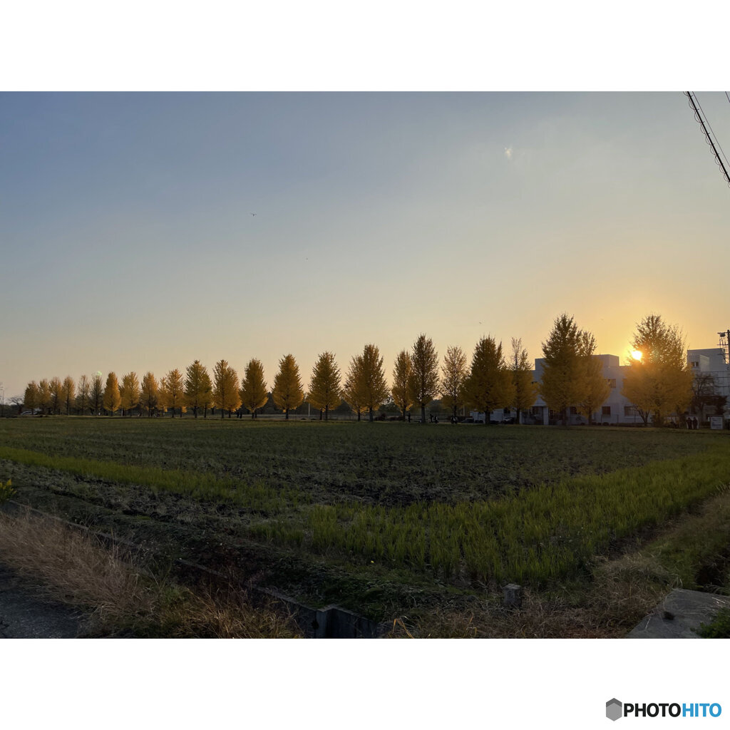 撮って出し(2023-11-03_16-02)--5.1